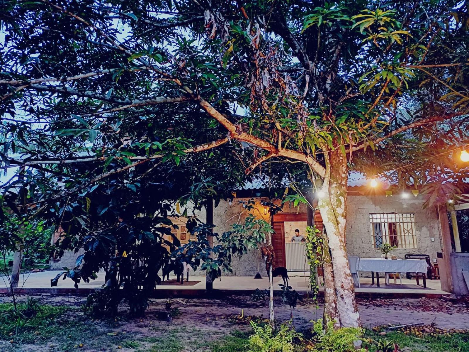 Eco Sitio O Labirinto Do Fauno 호텔 모스케이루 외부 사진