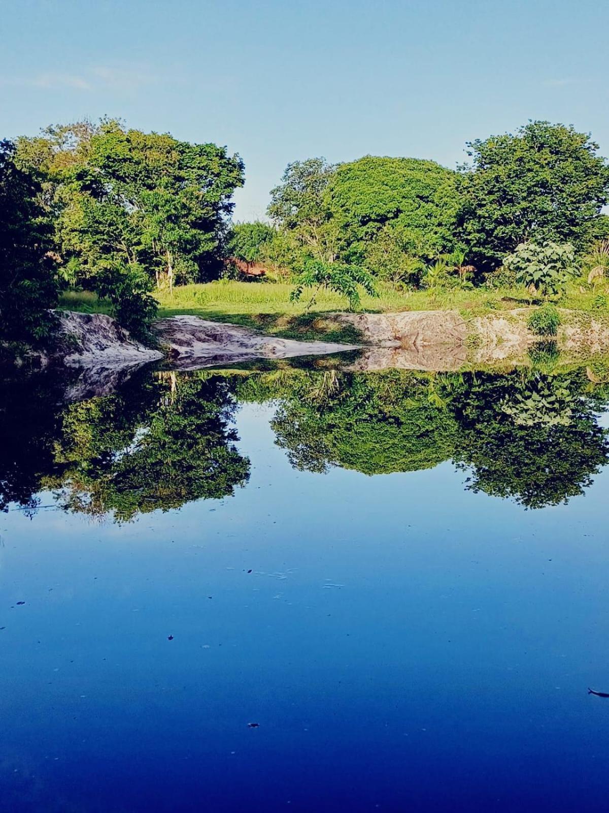 Eco Sitio O Labirinto Do Fauno 호텔 모스케이루 외부 사진