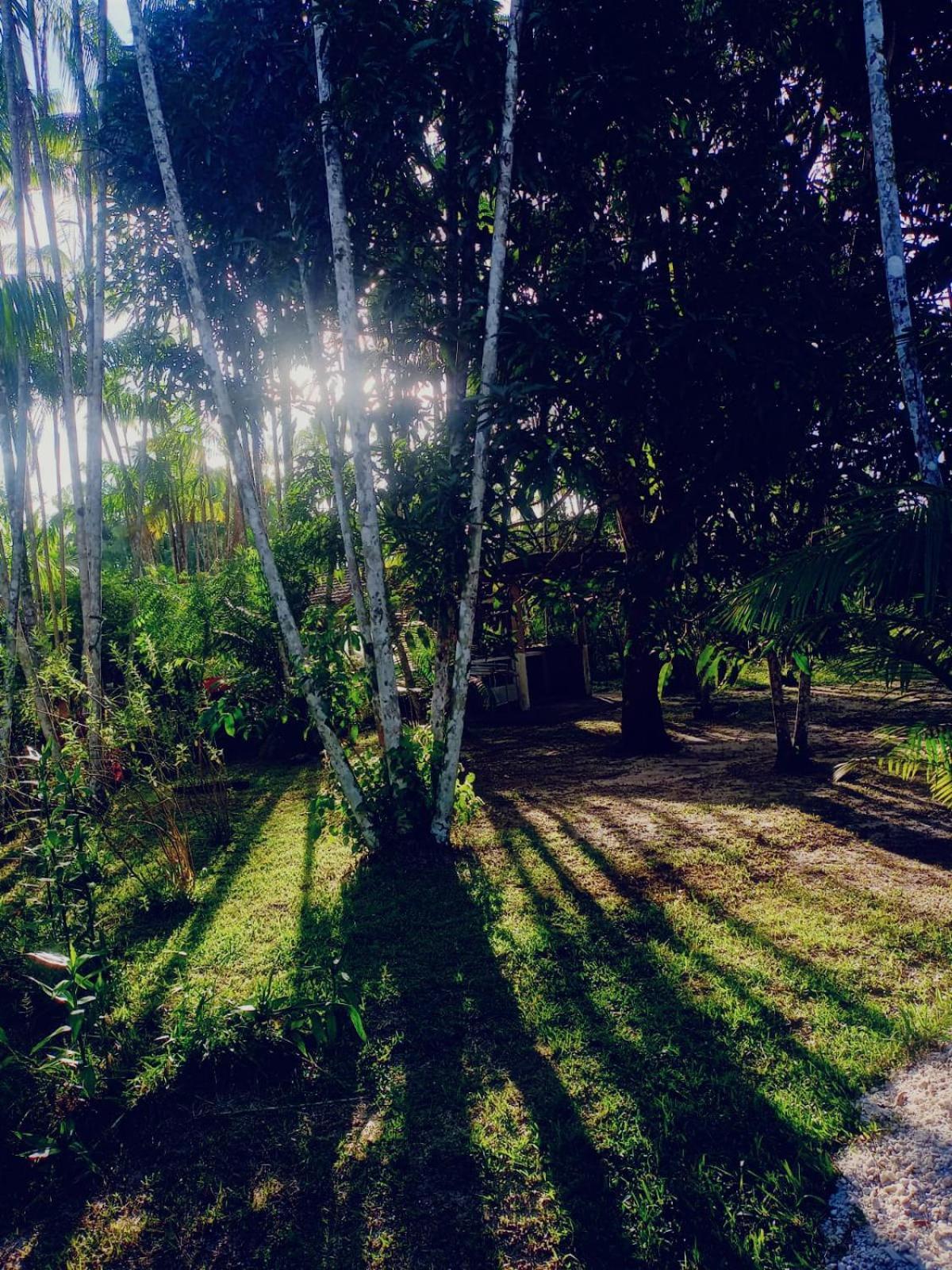 Eco Sitio O Labirinto Do Fauno 호텔 모스케이루 외부 사진